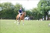 UKPA NC SAT_2662